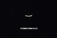 陶環藏品圖，第2張